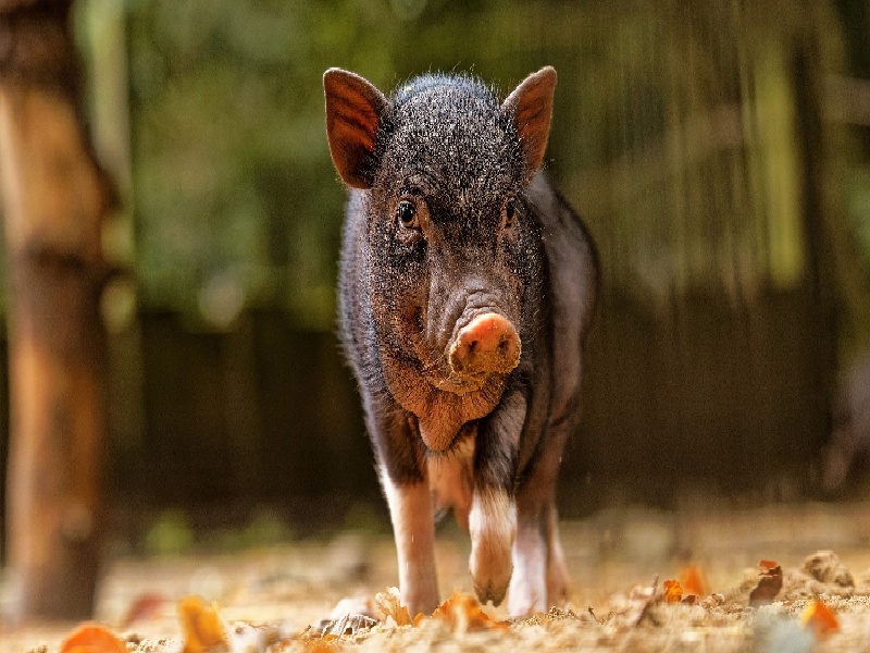 身体差做试管试管精子往回跑沈阳试管前十医院